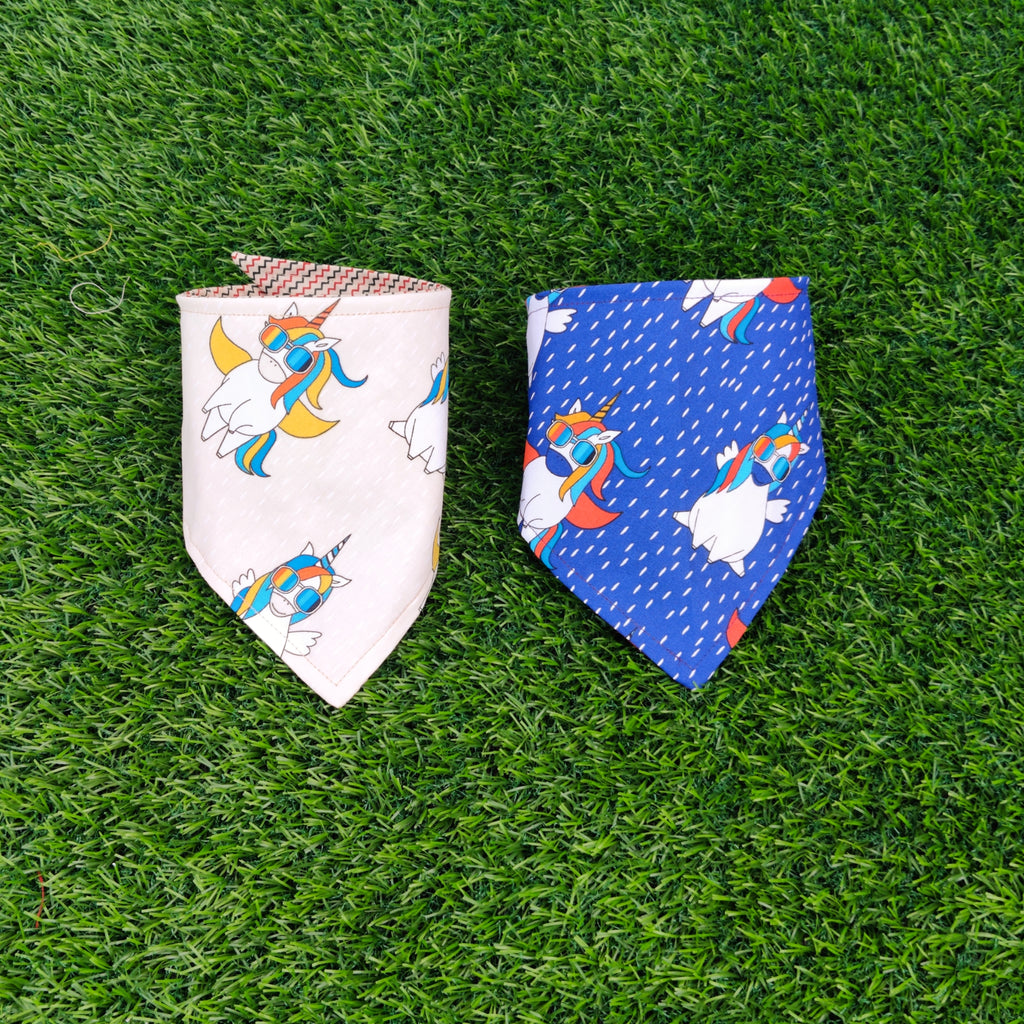 Unicorn Bandana Bib Set